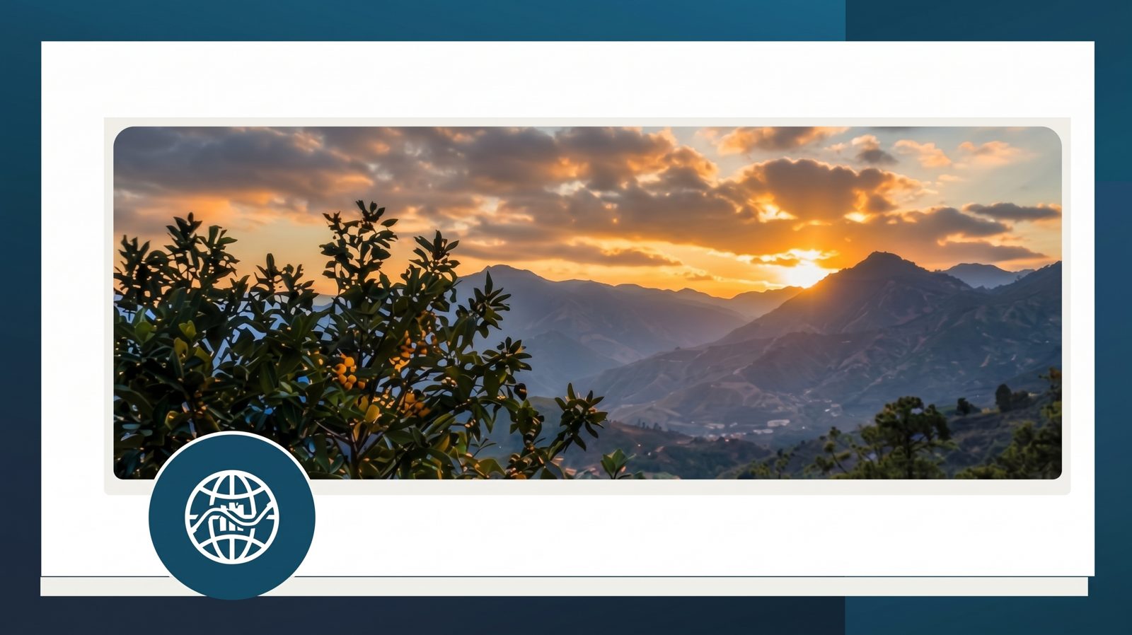 Sunset over the mountains of Oaxaca, seen through the branches of a fruiting tree